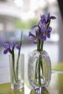 images_5