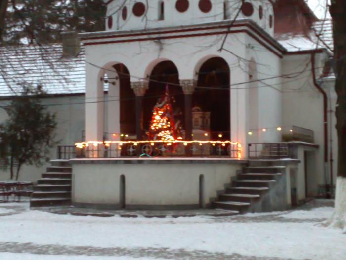 2 01 2009 Bodrog - poze cu icoane si manastirea BODROG