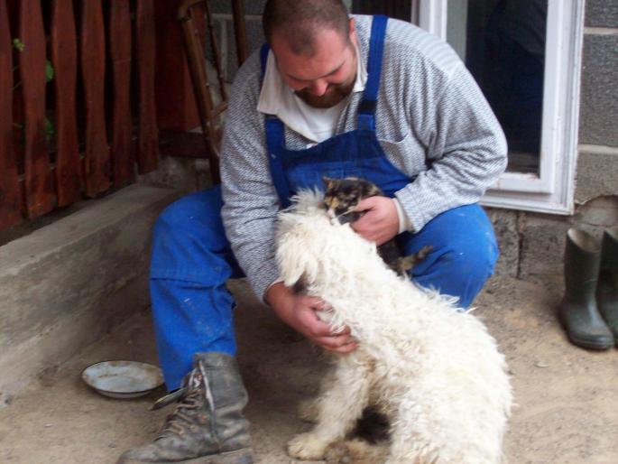 CSAK EGYBOL KELET VOLNA 043 - KOMONDOR