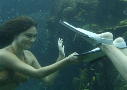 H2O-just-add-water-cariba-heine-and-phoebe-tonkin-2488009-425-300 - h2o