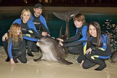 dolphin1