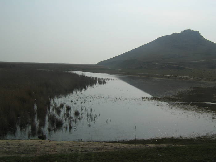 cetatea Heracleea - natura