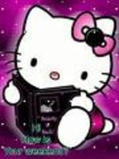 ewrweq - hello kitty