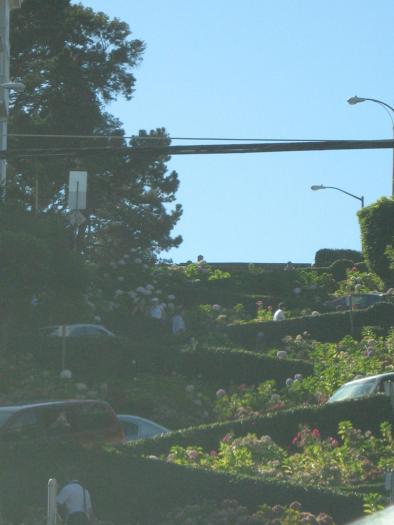 san francisco lombard street - america america