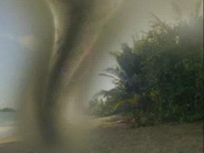 Wizards_of_Waverly_Place_The_Movie_1252727182_0_2009 - Poze cu desene emisiuni etc