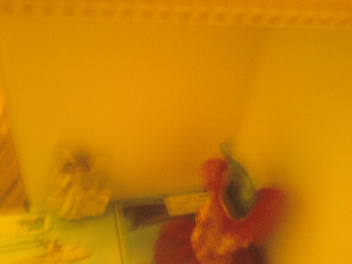 Fotografii-0863 - Poze ciudate urate haioase etc