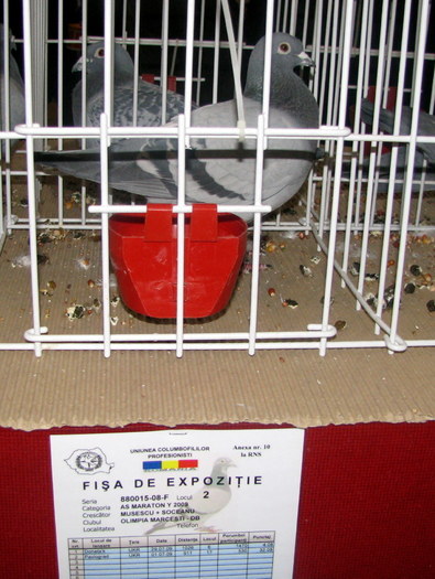 Saby...015; Parintii:M(Badin V)-F(Stoica V)
