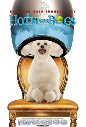 Hotel for Dogs - Hotel for dogs