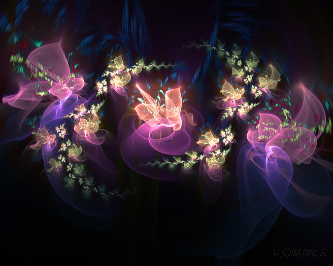 NetWork (73) - Sun Photo Wallpapers