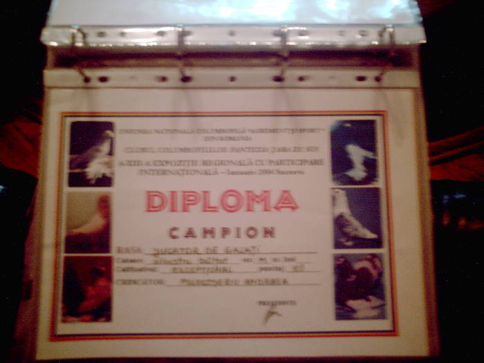 Diploma Campion