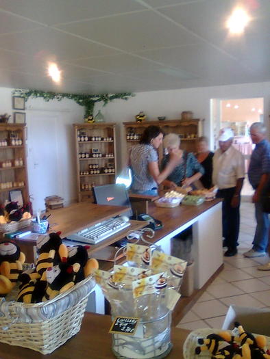 Imagine1443 - ApiMondia