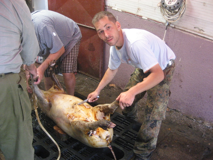 IMG_4204 - 2009-2010 Stolna Cluj