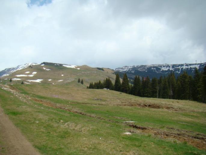 DSC04134 - 2008-05-18 - Teambuilding la Pestera