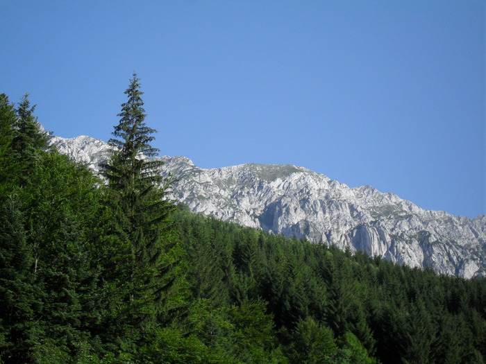 SDC10070 - piatra craiului