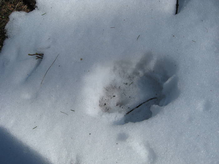 piatra mare 2008 023