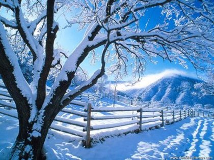 5 - poze peisaje de iarna