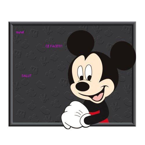 mickey-mouse- - zz-mickey mouse