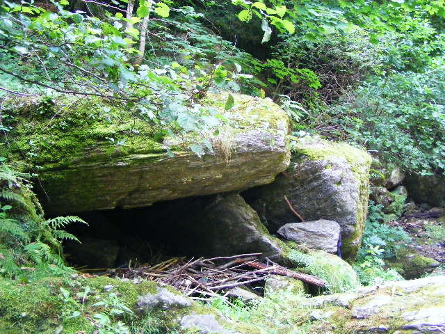 DSCF5158