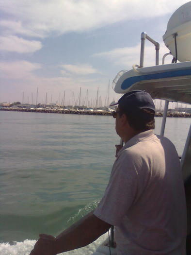 un cpleg simpatic - ApiMondia