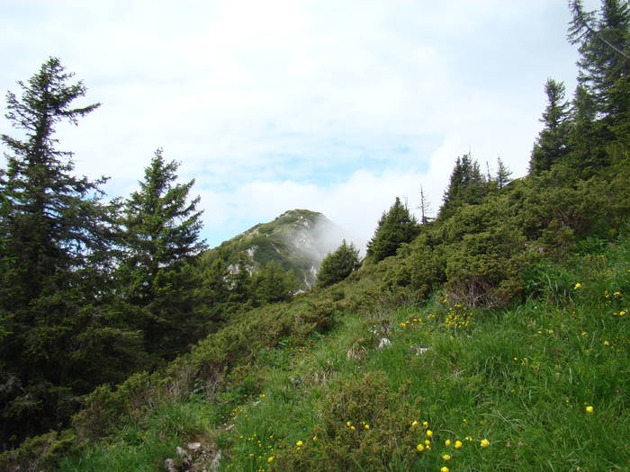 DSC03786 - Concediu 2009