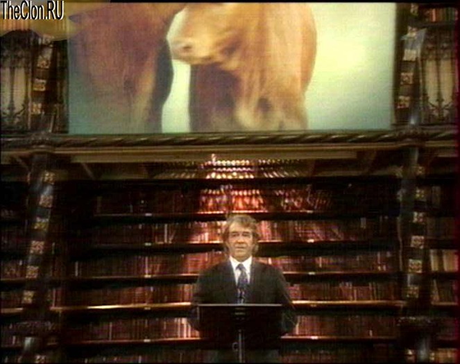 001_002 - CLONA-pictures