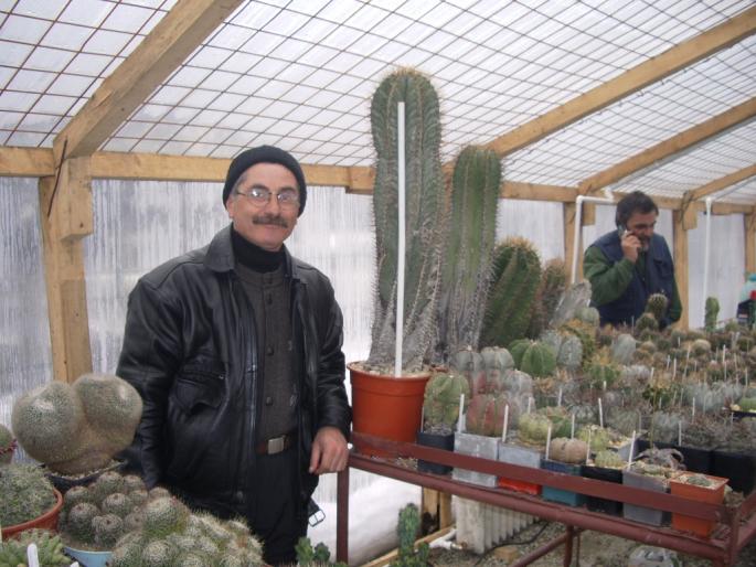 Iarna intr-o sera cu cactusi este minunat - sera domnului Dag Panco - Printre cactusi