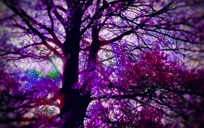 myblueheavenmenu1280x1024