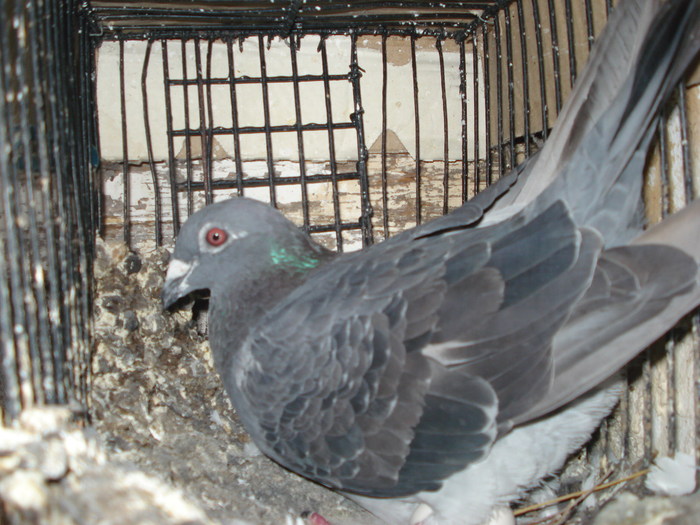 DSC02726