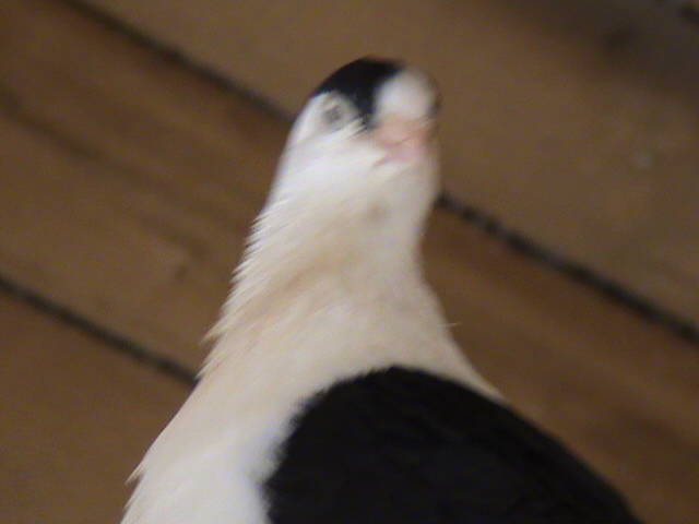 DSC01693