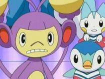 OZOMAZNDCWNIJPGYGSZ - pokemoni