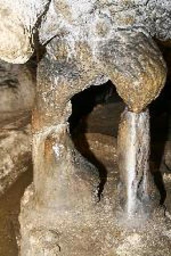 20070907140704_img_3974[1]