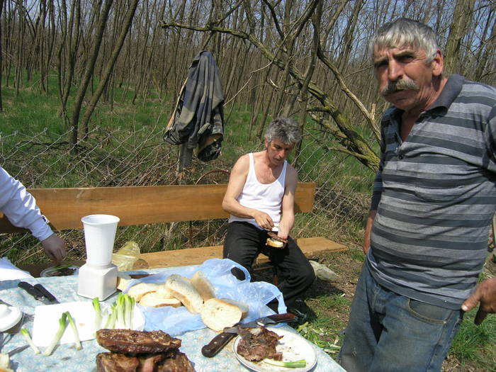 P4071971 - Carnica Banatica