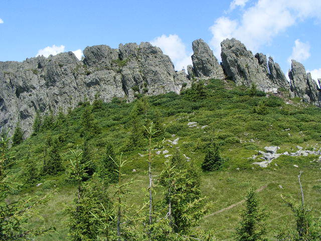 DSCF3175