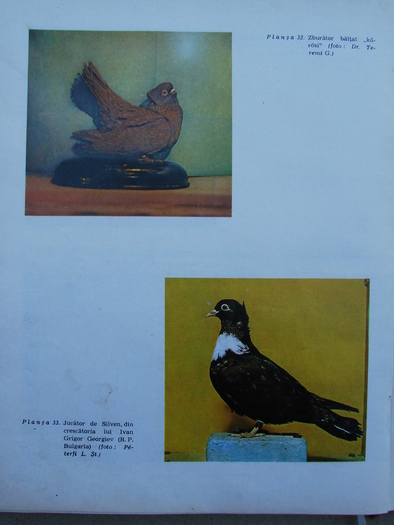 cresterea porumbeilor-peterfi 287 - Carti despre Porumbei - - Books about Pigeons