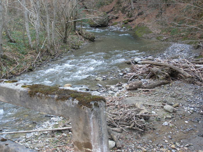 211 - A9 - APR 2009 OLANESTI CHEILE FOLEA parcu buila vinturarita