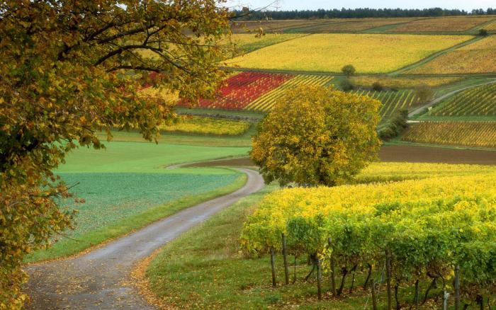 Autumn_Widescreen_Wallpapers - Peisaje