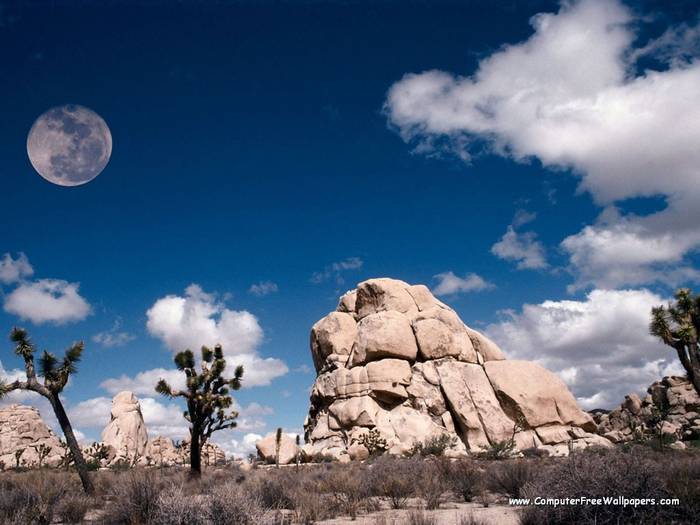 Wallpapers - Nature 9 - Full_Moon_At_Joshua_Tree,_California,_USA - Very Beautiful Nature Scenes
