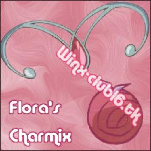 Copie (2) a charmix3