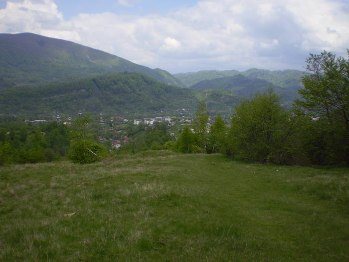 Poze 028