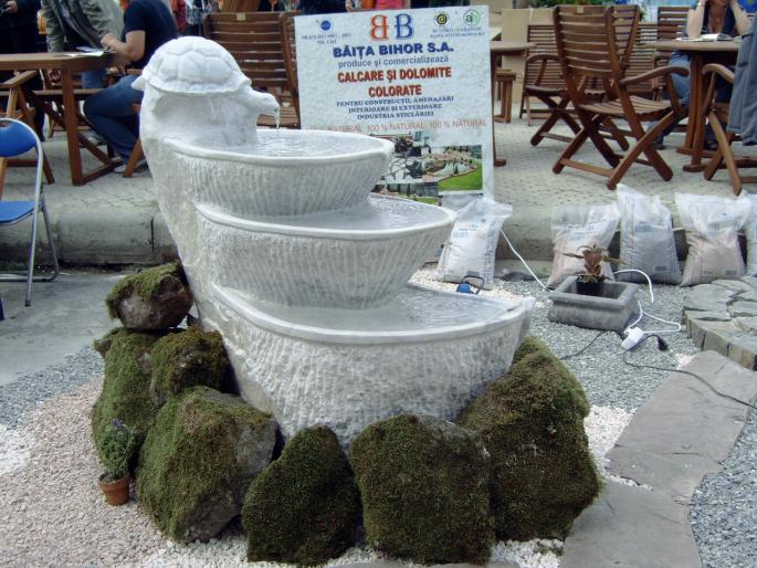 DSC00061 - Expozitie flori Timisoara  luna Mai 2008