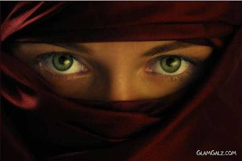 beautiful hijabi (123)