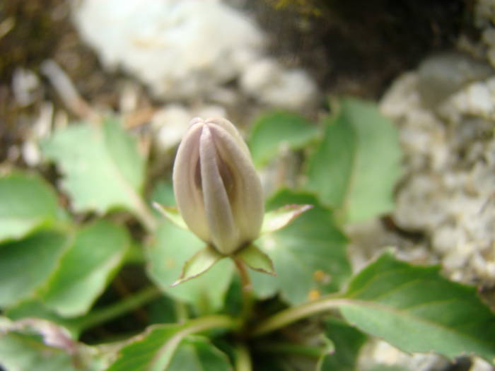 DSC00374