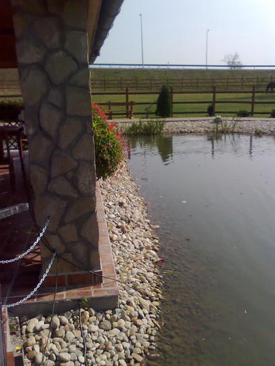 Imagine1564 - ApiMondia