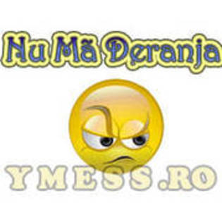 Copy of XMUIZGFSVEQINOEMENM