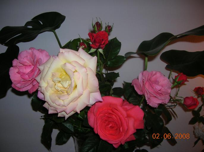 trandafiri din gradina mea - trandafiri in vaza