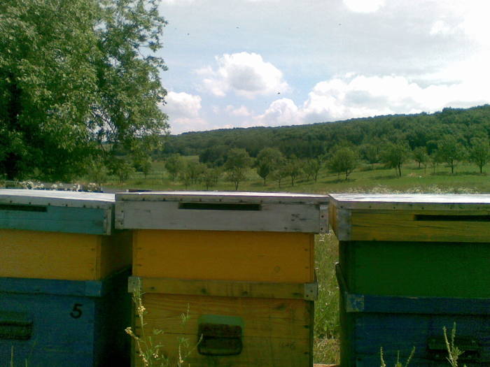28062009(001)