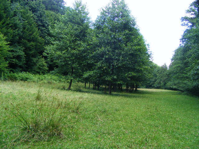 DSCF2606