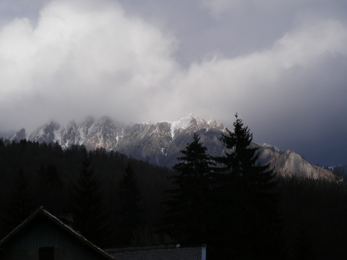 Picture 088 - Iarna munti feerie