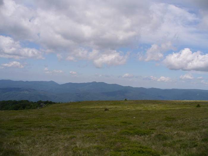 P1000480 - varful Ignis Maramures