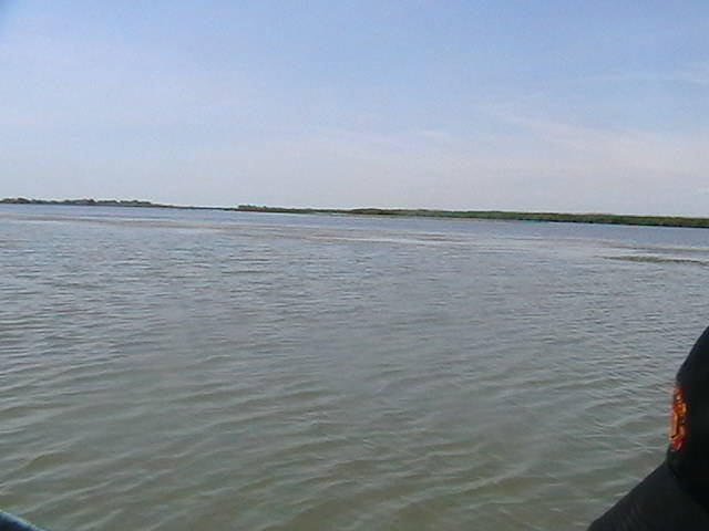 IMGA0954 - In Delta Dunarii- Mila 23-iunie 2009